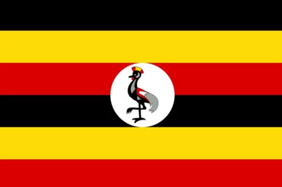 https://abacusparenteral.com/wp-content/uploads/2024/05/uganda_map.png